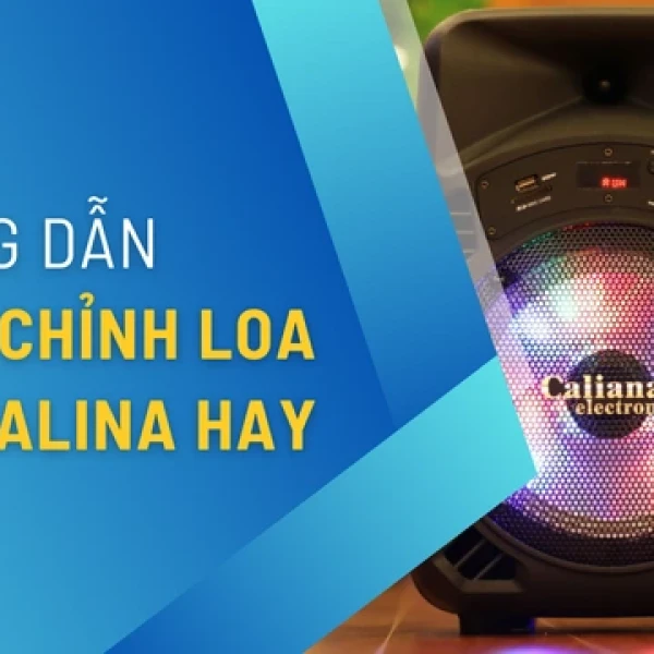 Cách Chỉnh Loa Kéo Caliana Hát Karaoke Siêu Hay