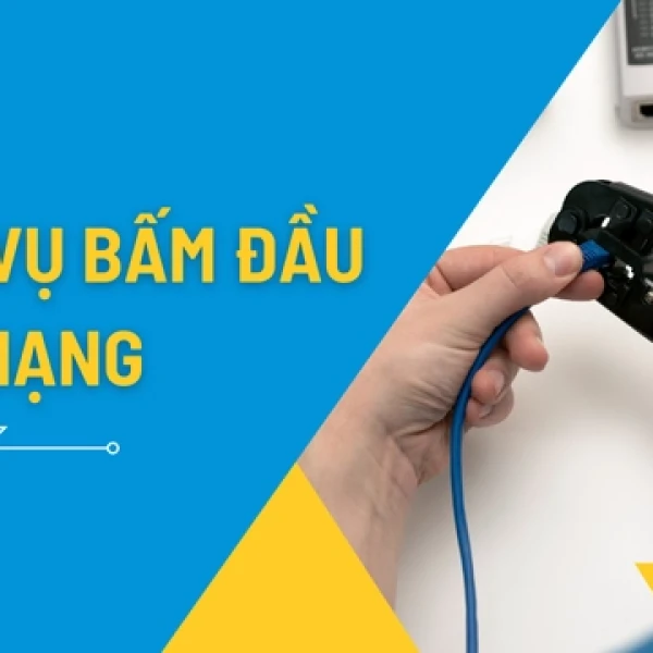 Dịch Vụ Bấm Đầu Mạng Giá Rẻ Tại TPHCM