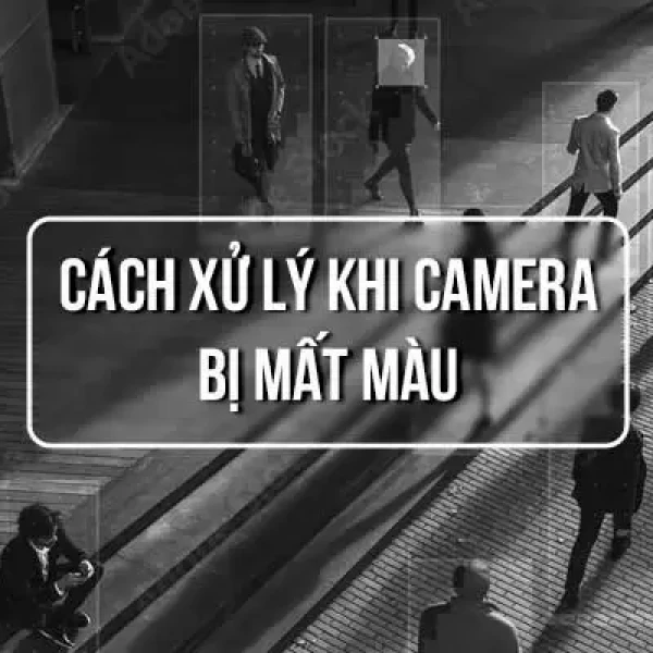 Camera Bị Mất Màu | Nguyên Nhân và Cách Khắc Phục