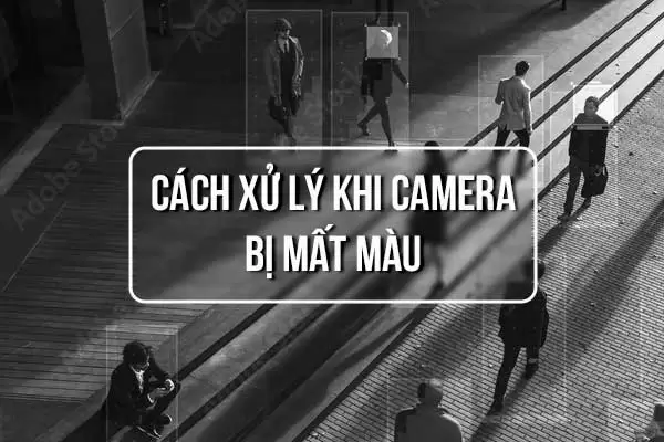Camera Bị Mất Màu | Nguyên Nhân và Cách Khắc Phục