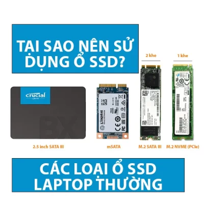 Tại Sao Nên Sử Dụng Ổ SSD? Các Loại Ổ SSD Laptop Thường Dùng