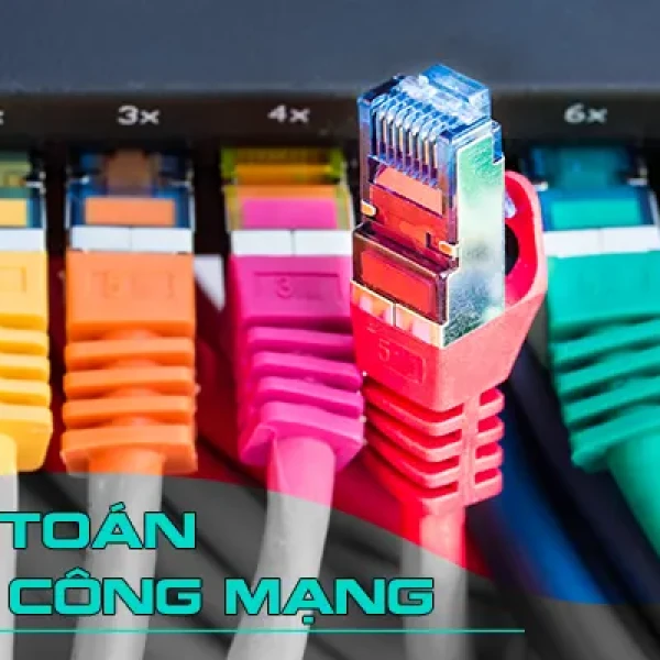 Dự Toán Thi Công Mạng LAN Chuẩn Nhất Theo Khảo Sát