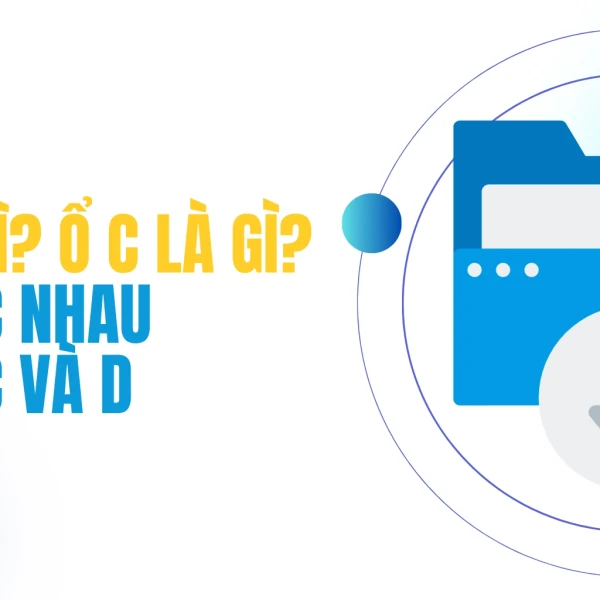 Ổ D là gì? Ổ C là gì? Sự khác nhau giữa ổ C và D