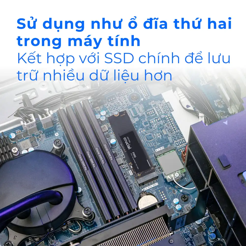 SSD NVMe Crucial P310 1TB PCIe Gen4 2280 M.2 2280 | R/W: 6000/7100