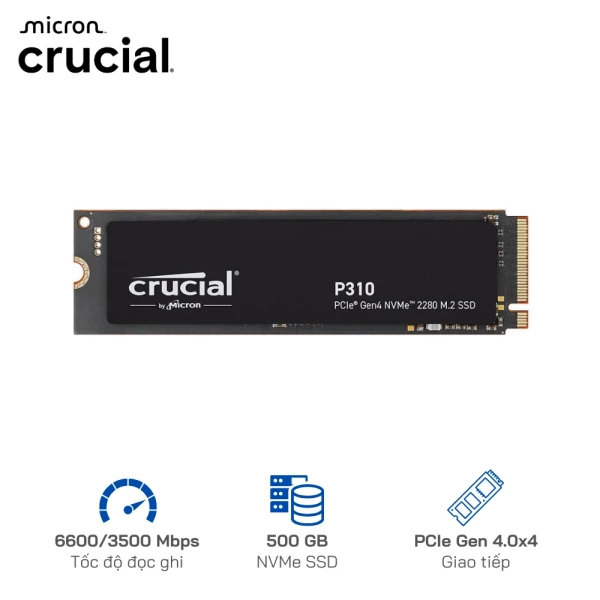 Ổ cứng SSD NVMe Crucial P310 500GB M.2 PCIe Gen4 x4 | R/W: 6600/3500 Mbps
