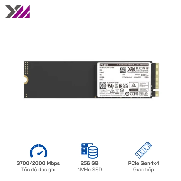 Ổ cứng SSD YMTC PC300 256GB NVME Gen 4 - Tốc độ đọc/ghi 3900/ 2000 MB/s